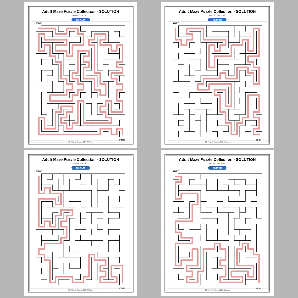 Maze Puzzle Medium 50 Pages of Puzzles – Vol. 19
