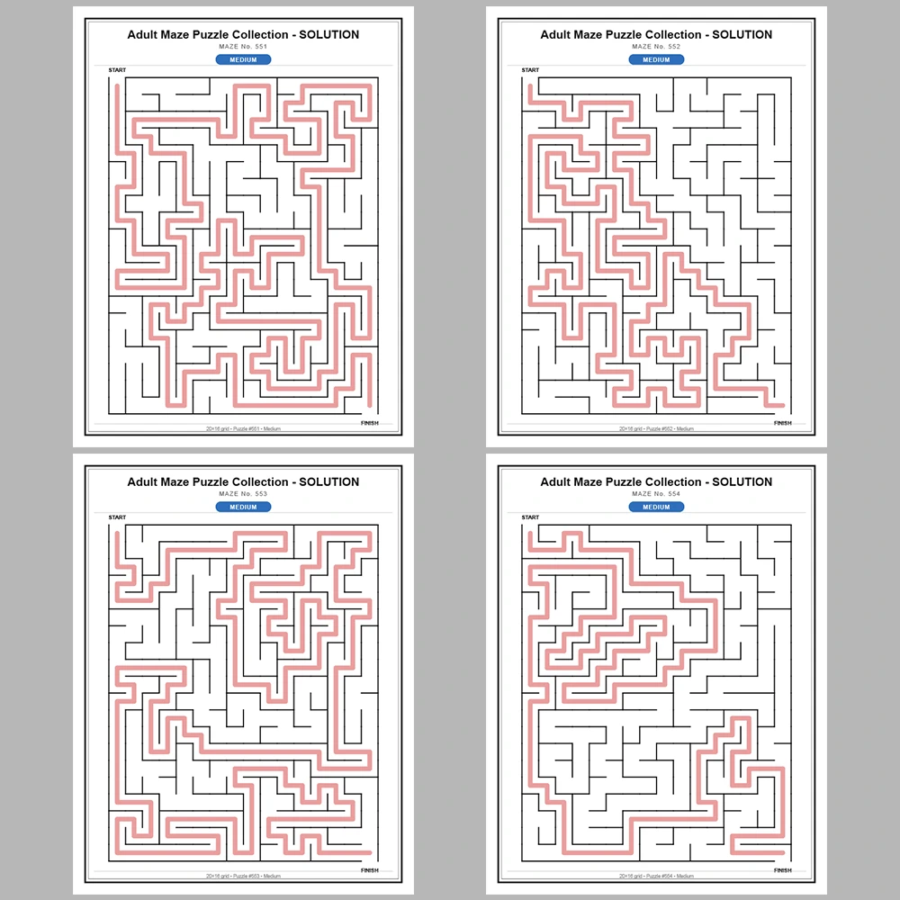 Maze Puzzle Medium 50 Pages of Puzzles – Vol. 12