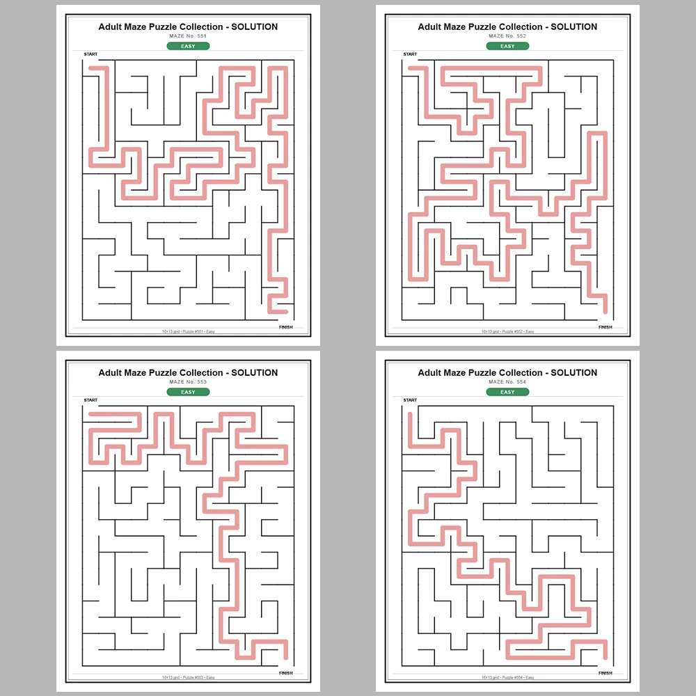 Maze Puzzle Easy 50 Pages of Puzzles – Vol. 12