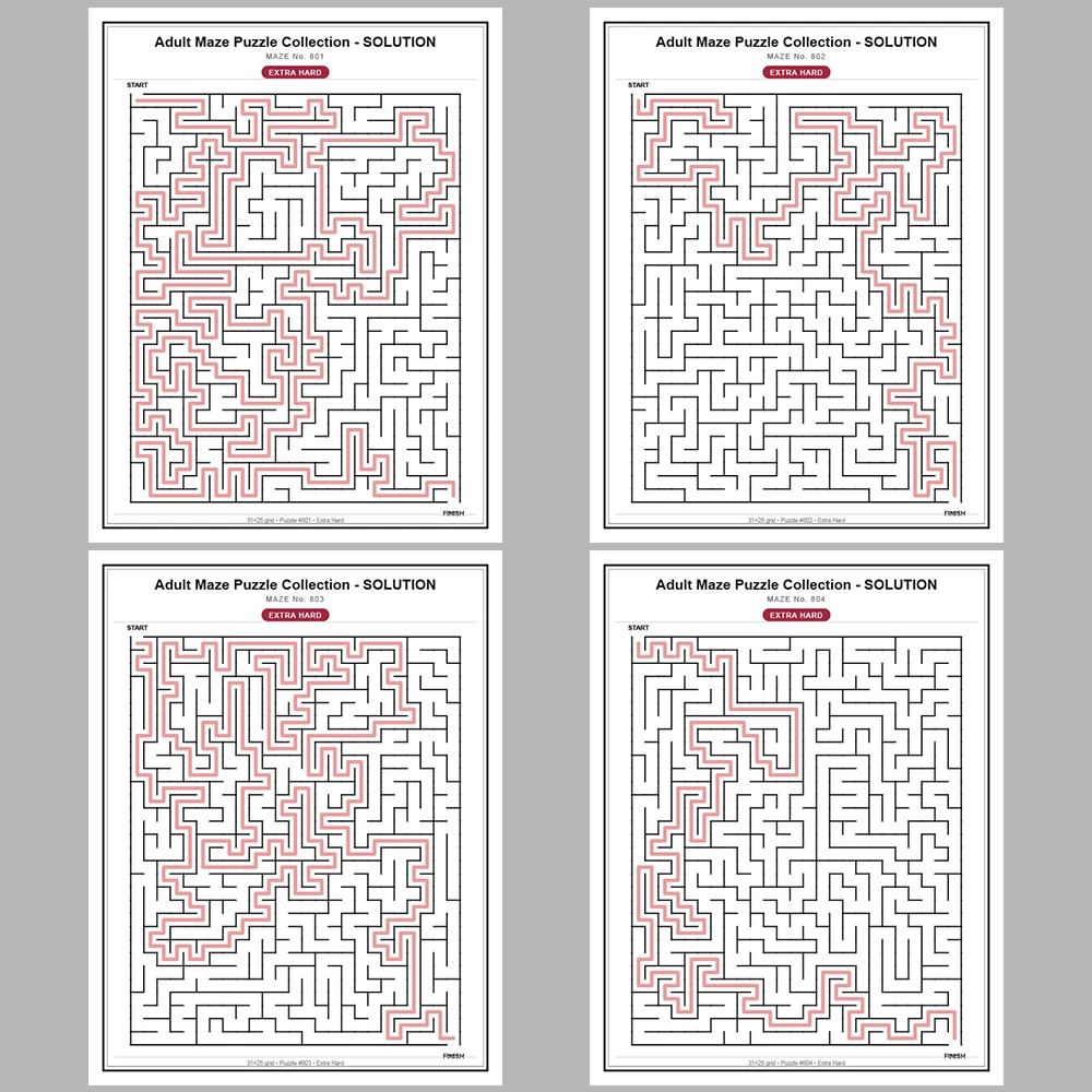 Maze Puzzle Extra Hard 50 Pages of Puzzles – Vol. 17