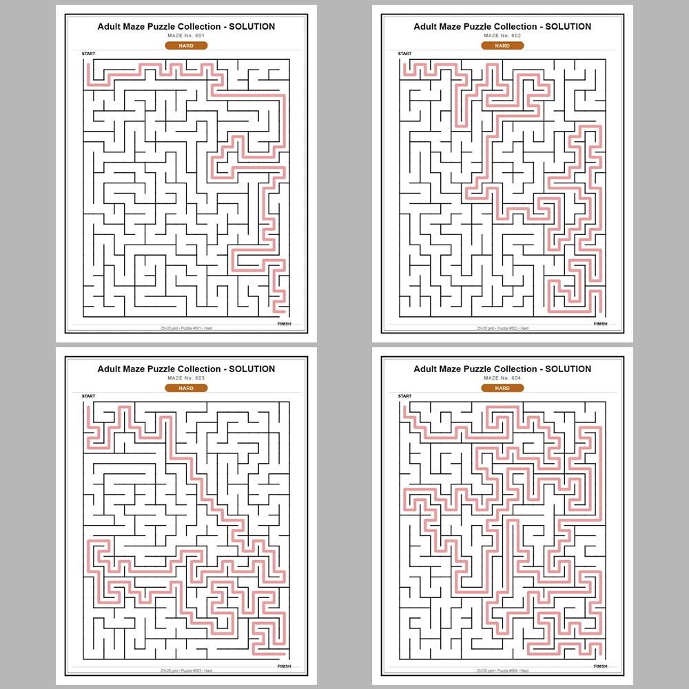Maze Puzzle Hard 50 Pages of Puzzles – Vol. 13