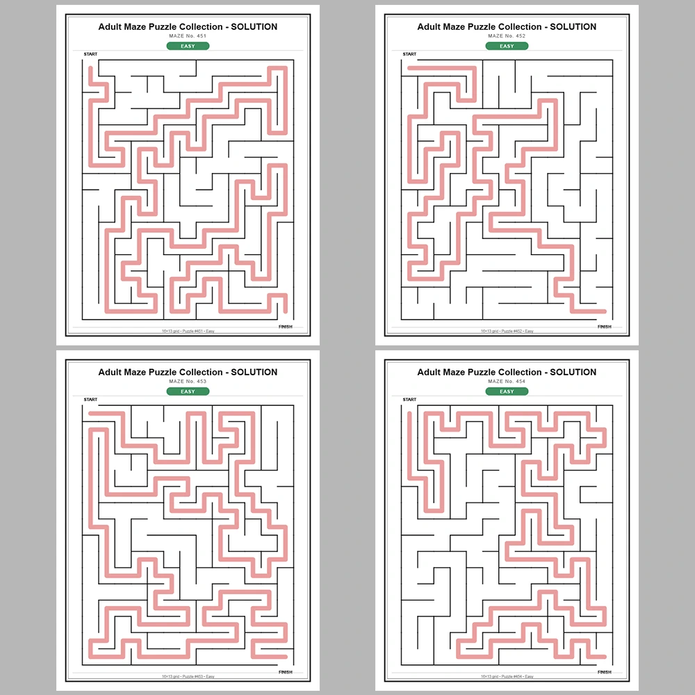 Maze Puzzle Easy 50 Pages of Puzzles – Vol. 10