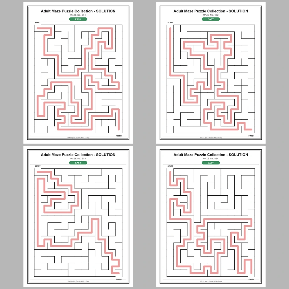 Maze Puzzle Easy 50 Pages of Puzzles – Vol. 14