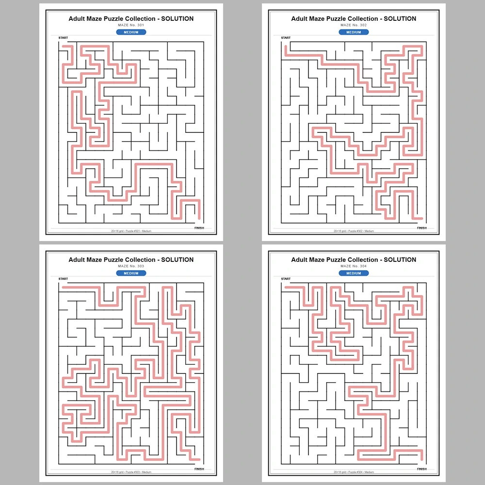 Maze Puzzle Medium 50 Pages of Puzzles – Vol. 7
