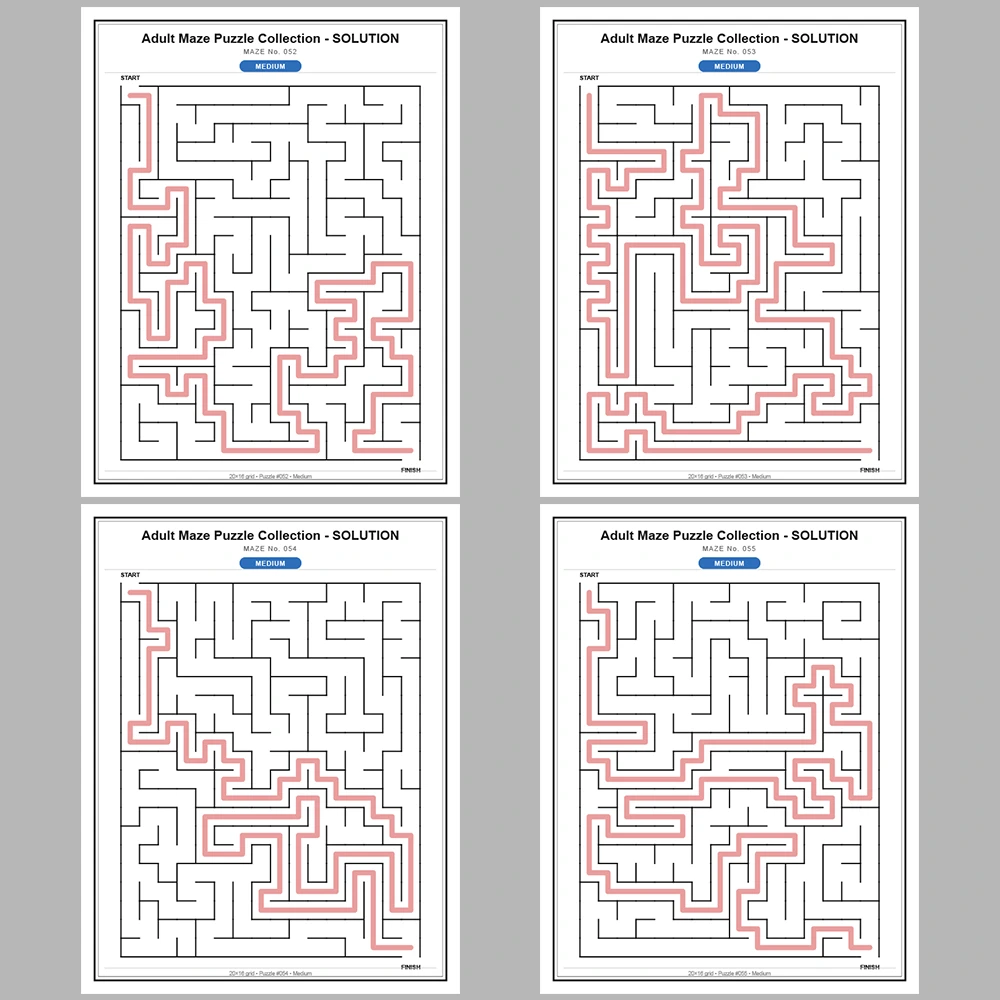 Maze Puzzle Medium 50 Pages of Puzzles – Vol. 2