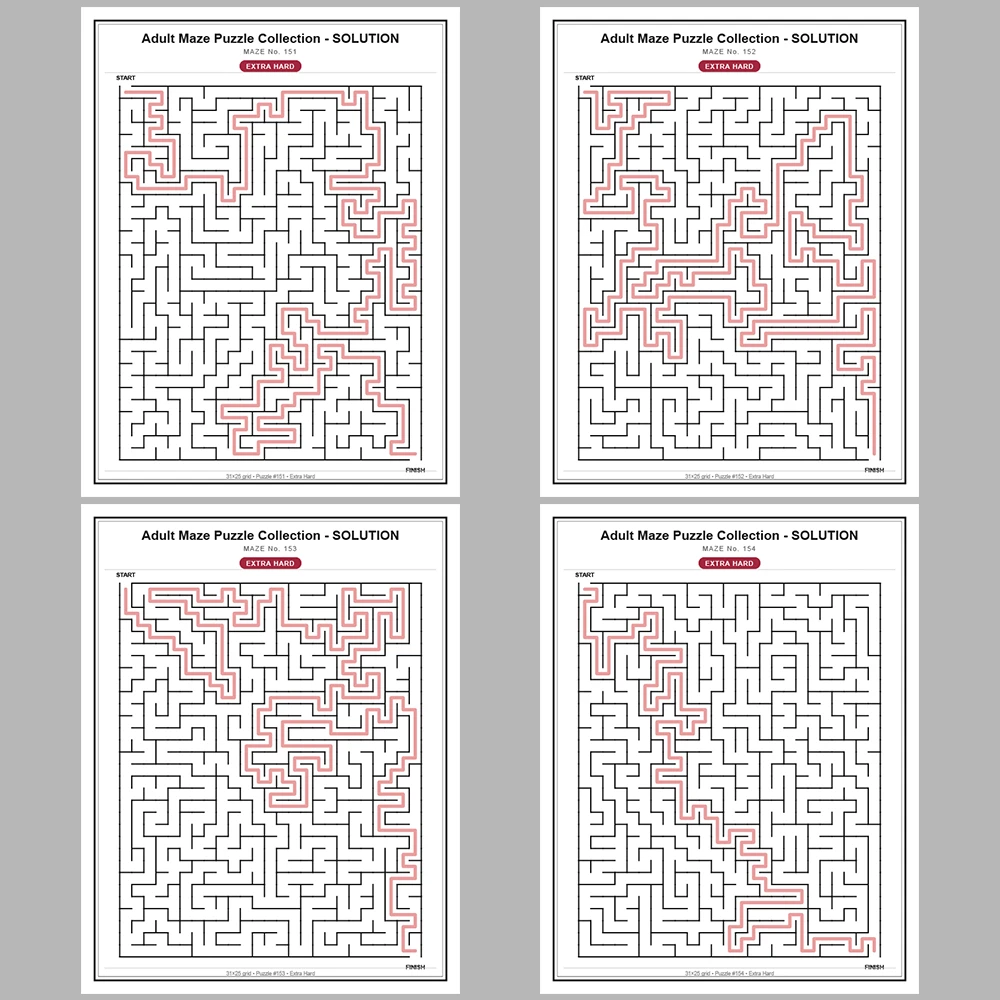 Maze Puzzle Extra Hard 50 Pages of Puzzles – Vol. 4