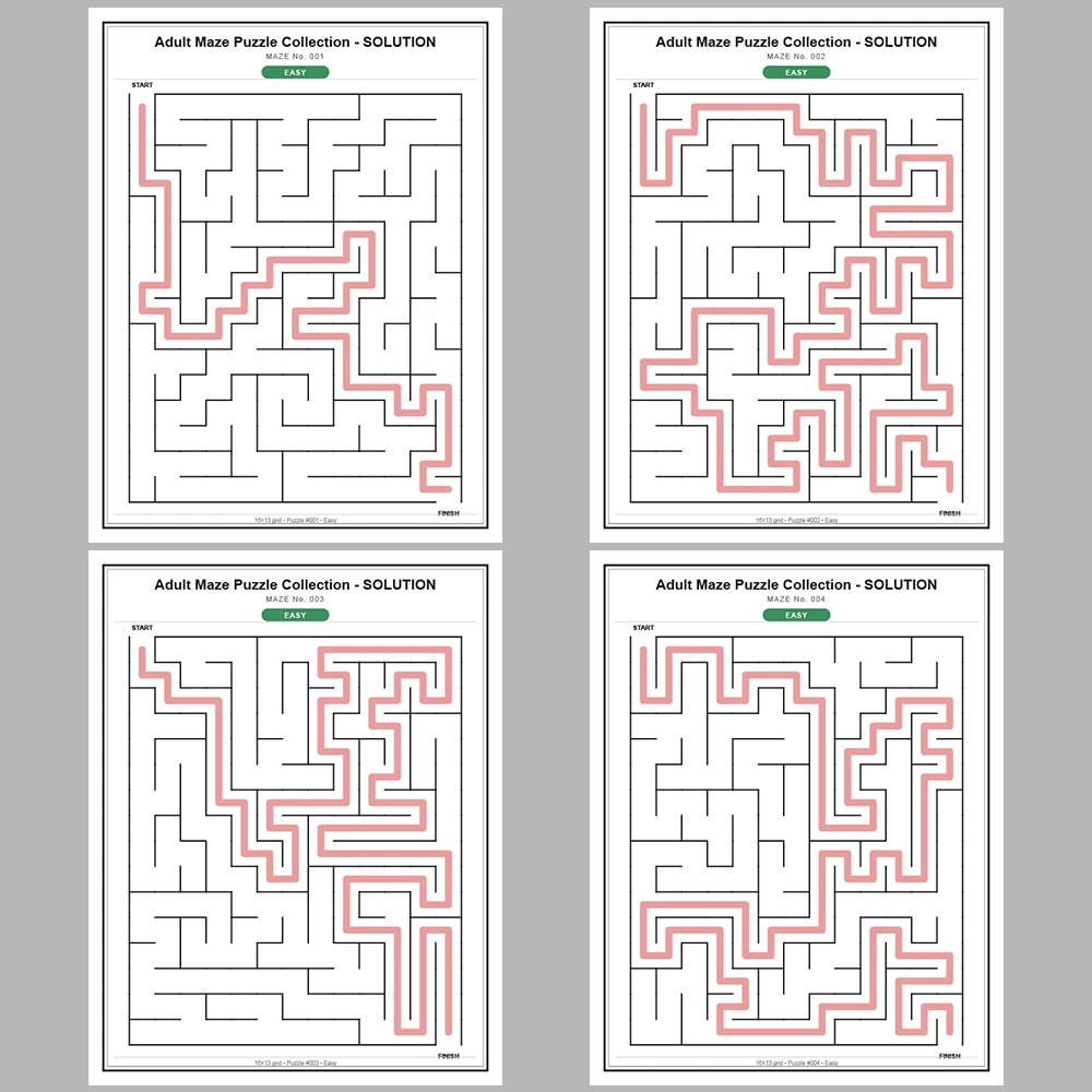 Maze Puzzle Easy 50 Pages of Puzzles – Vol. 3