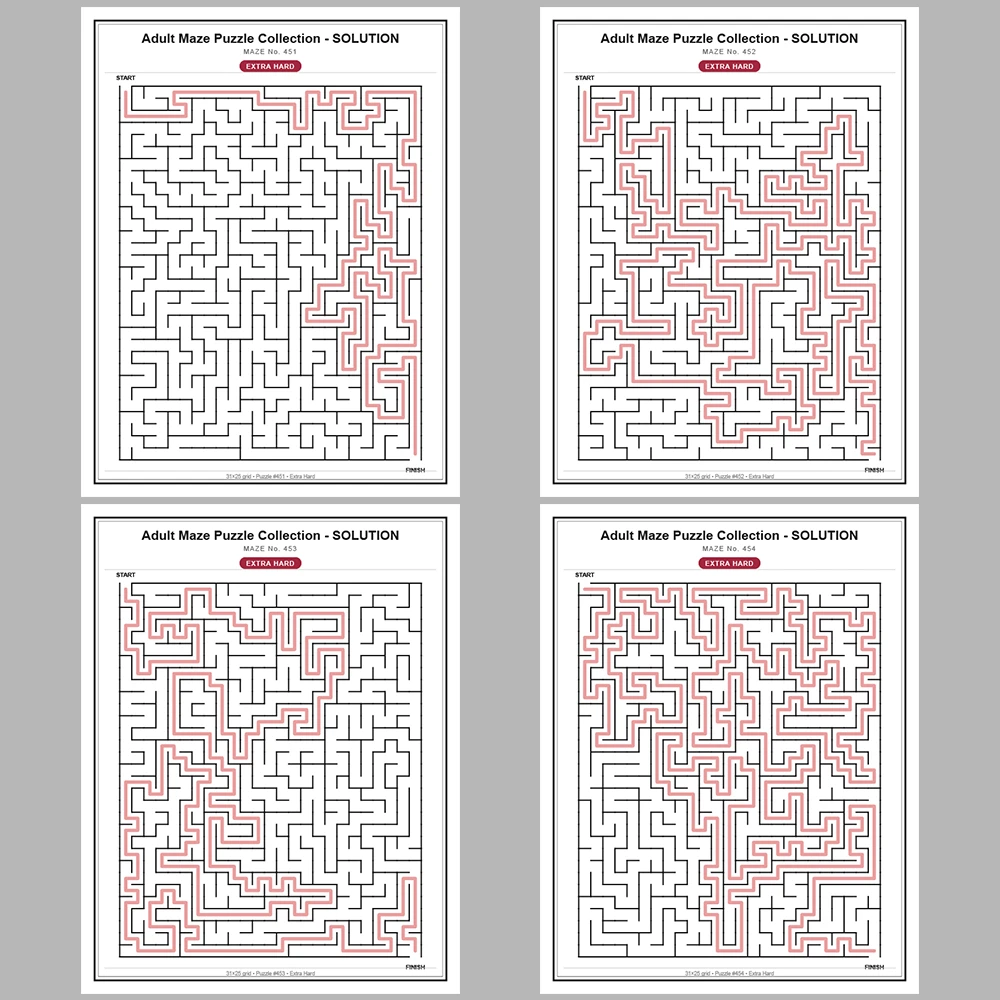 Maze Puzzle Extra Hard 50 Pages of Puzzles – Vol. 10