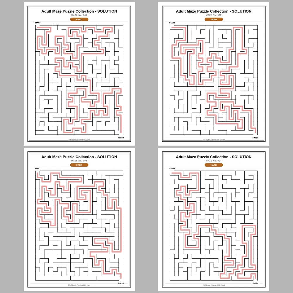 Maze Puzzle Hard 50 Pages of Puzzles – Vol. 19