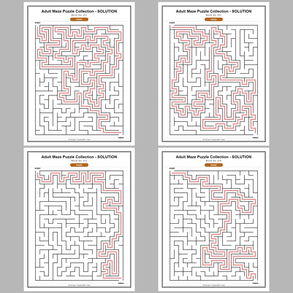 Maze Puzzle Hard 50 Pages of Puzzles – Vol. 14