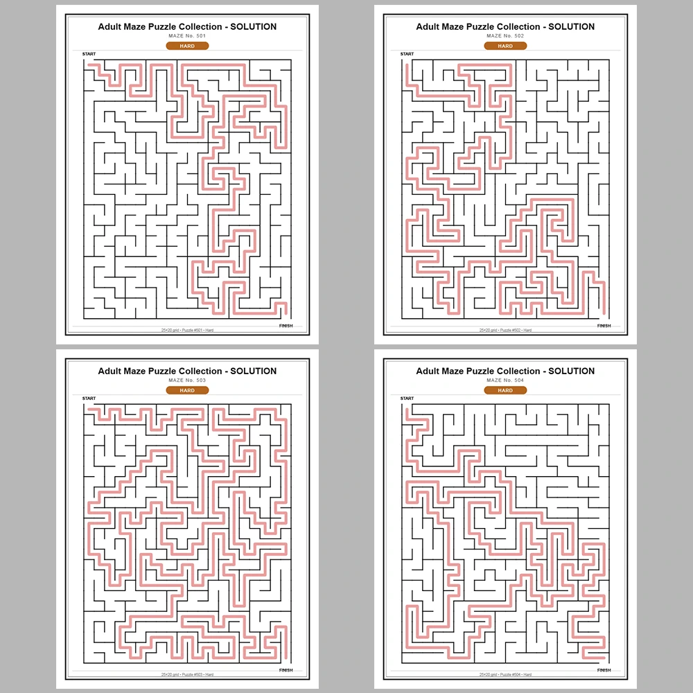 Maze Puzzle Hard 50 Pages of Puzzles – Vol. 11