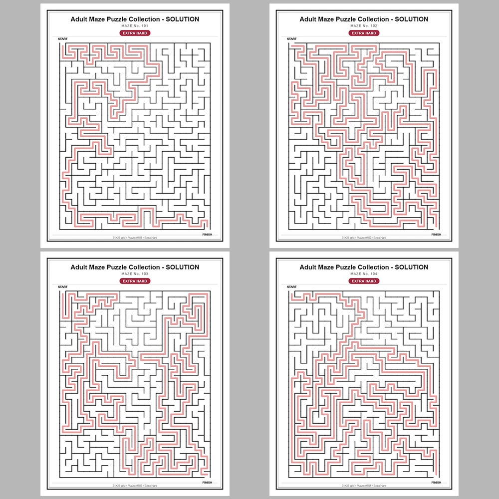 Maze Puzzle Extra Hard 50 Pages of Puzzles – Vol. 3