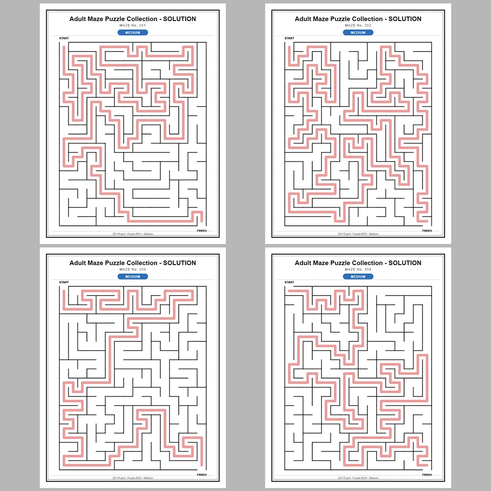 Maze Puzzle Medium 50 Pages of Puzzles – Vol. 6