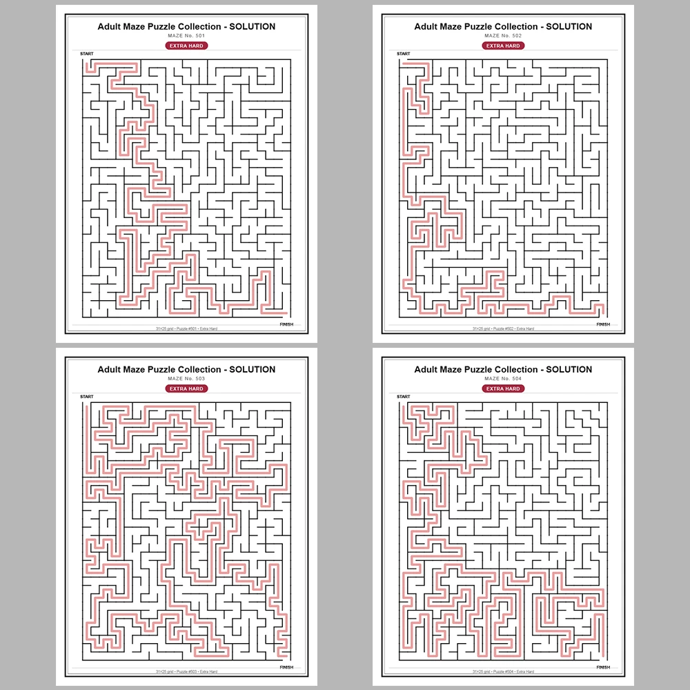 Maze Puzzle Extra Hard 50 Pages of Puzzles – Vol. 11