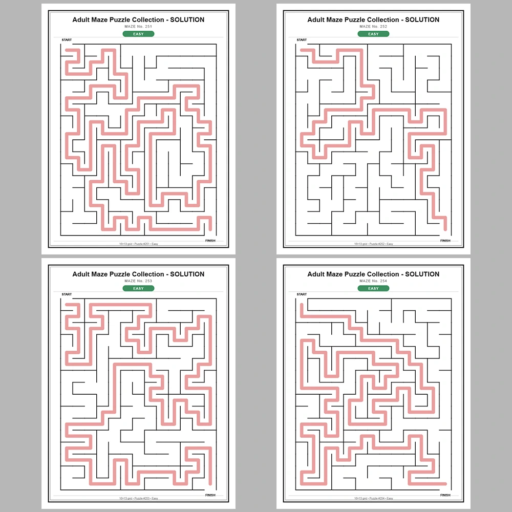 Maze Puzzle Easy 50 Pages of Puzzles – Vol. 6
