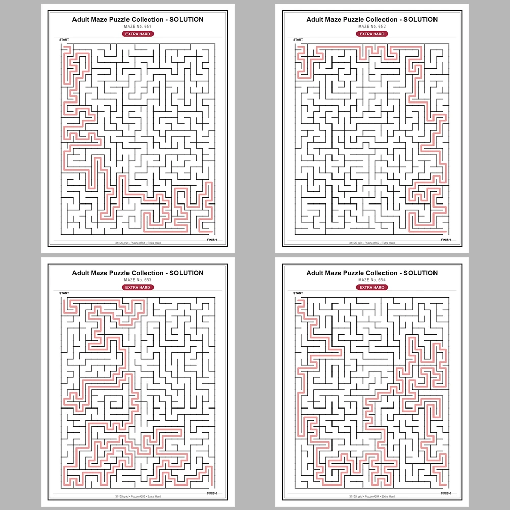 Maze Puzzle Extra Hard 50 Pages of Puzzles – Vol. 14