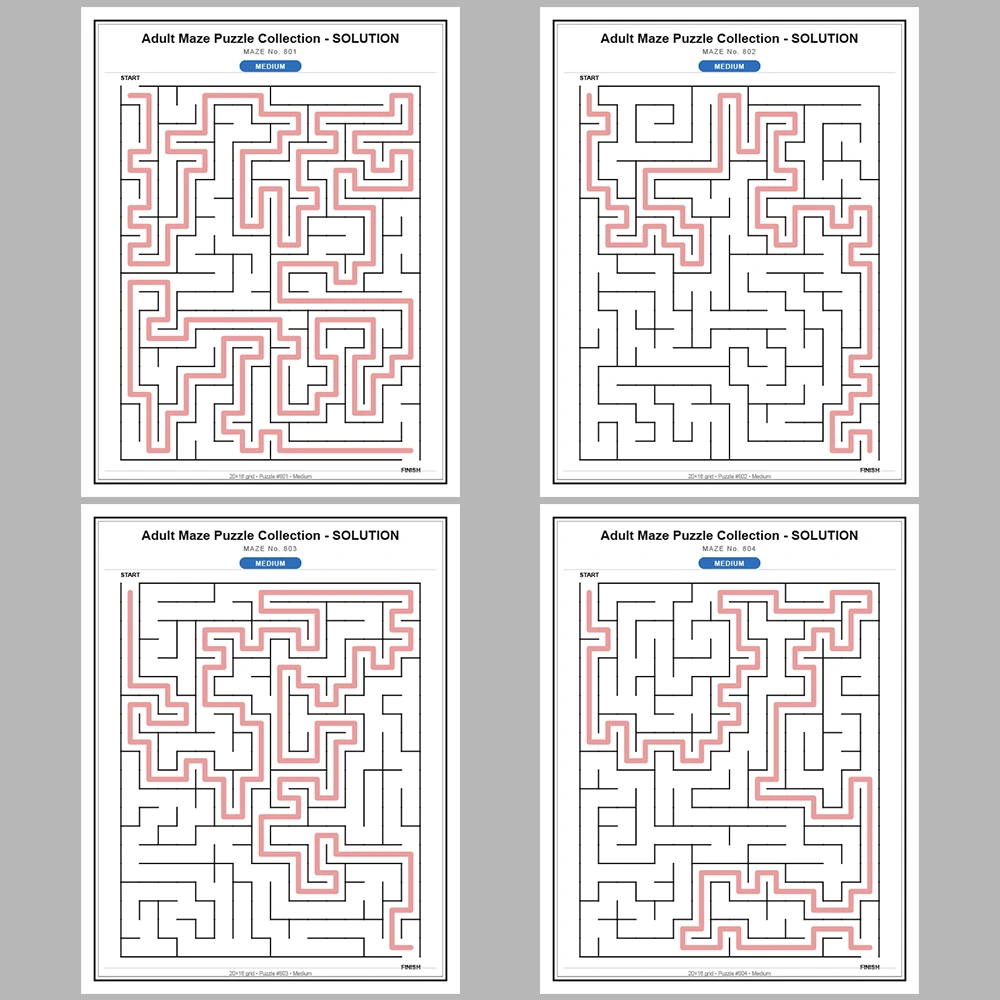 Maze Puzzle Medium 50 Pages of Puzzles – Vol. 17