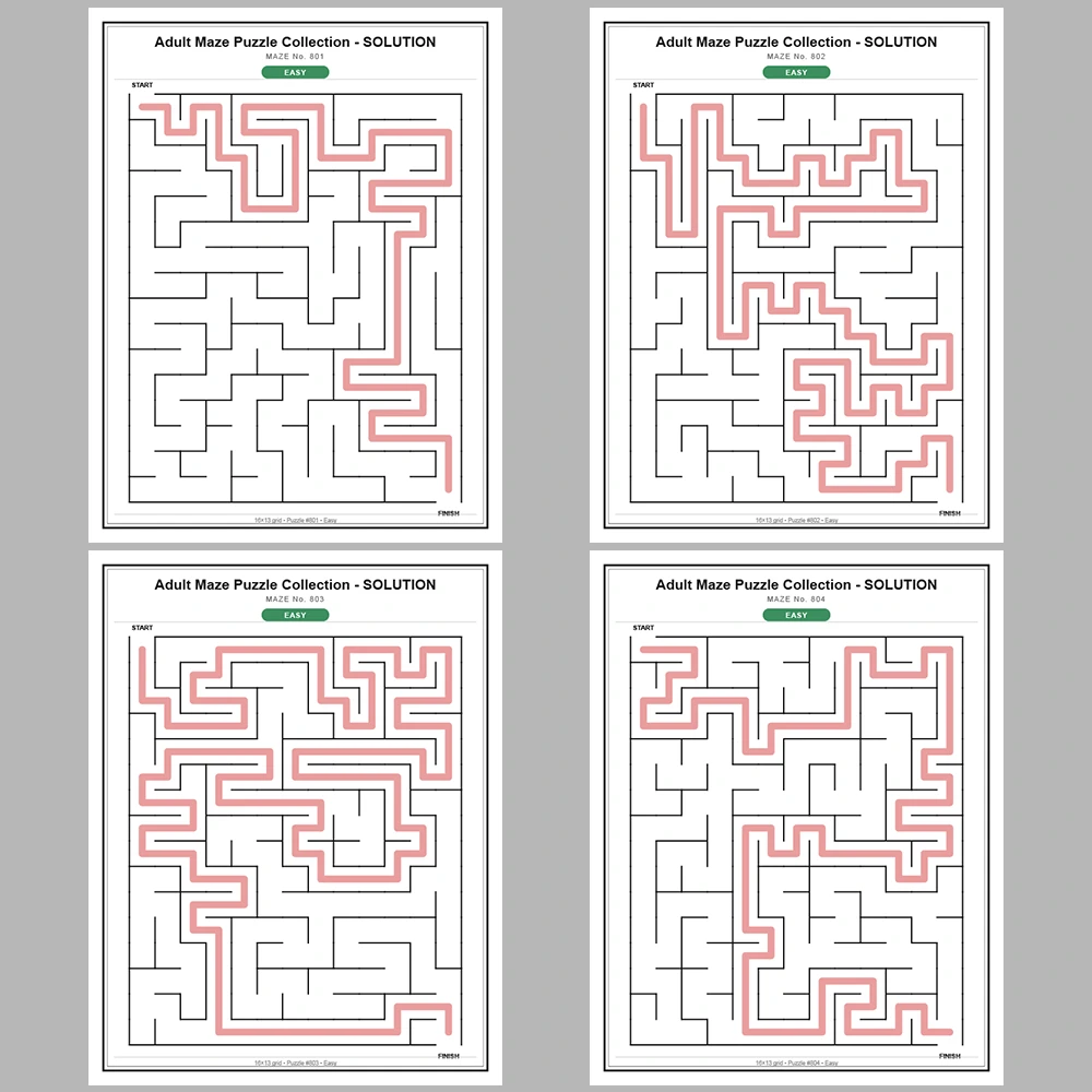 Maze Puzzle Easy 50 Pages of Puzzles – Vol. 17
