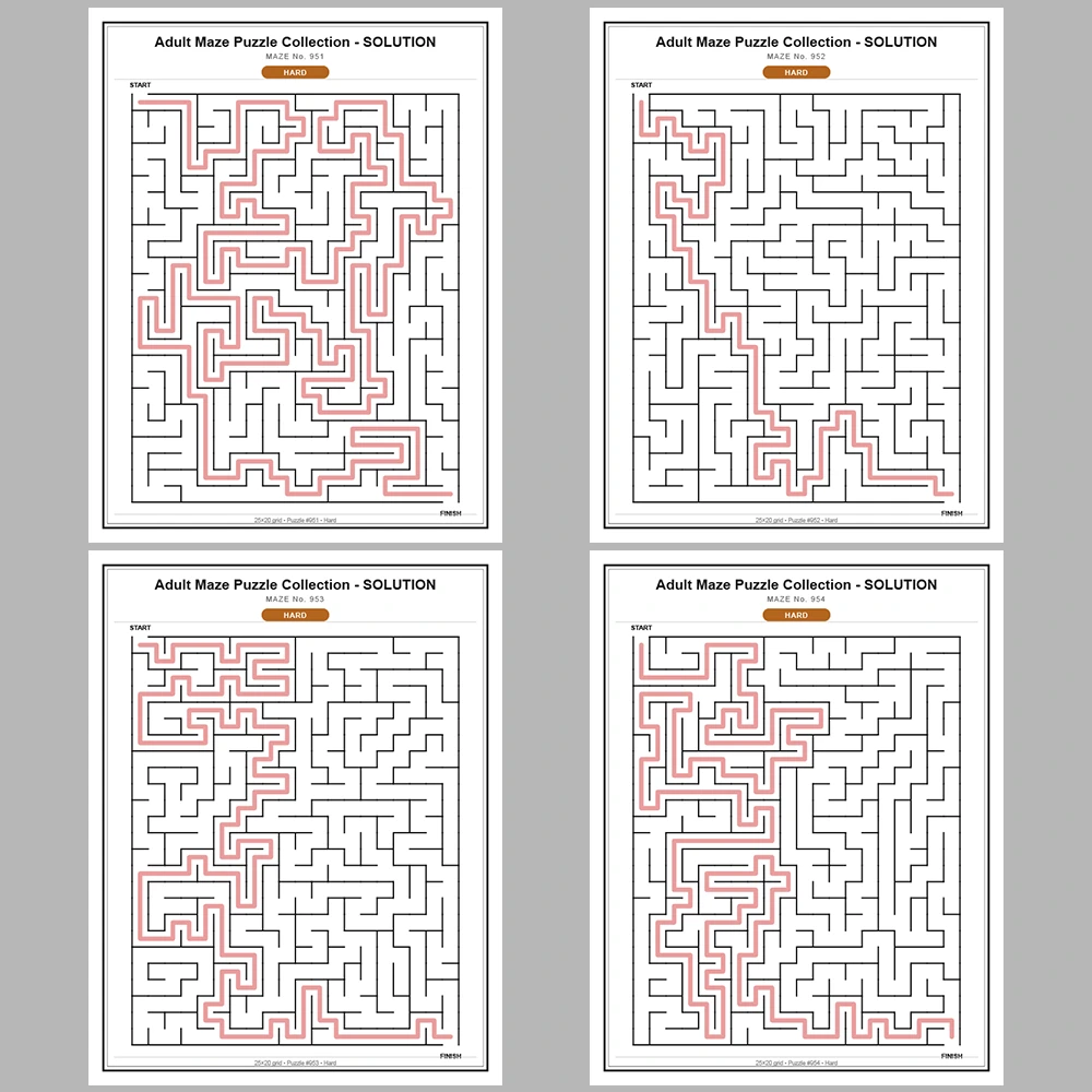 Maze Puzzle Hard 50 Pages of Puzzles – Vol. 20