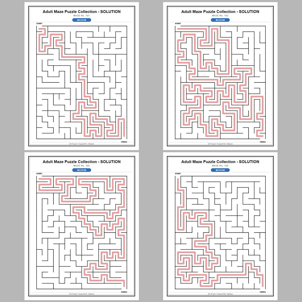 Maze Puzzle Medium 50 Pages of Puzzles – Vol. 3
