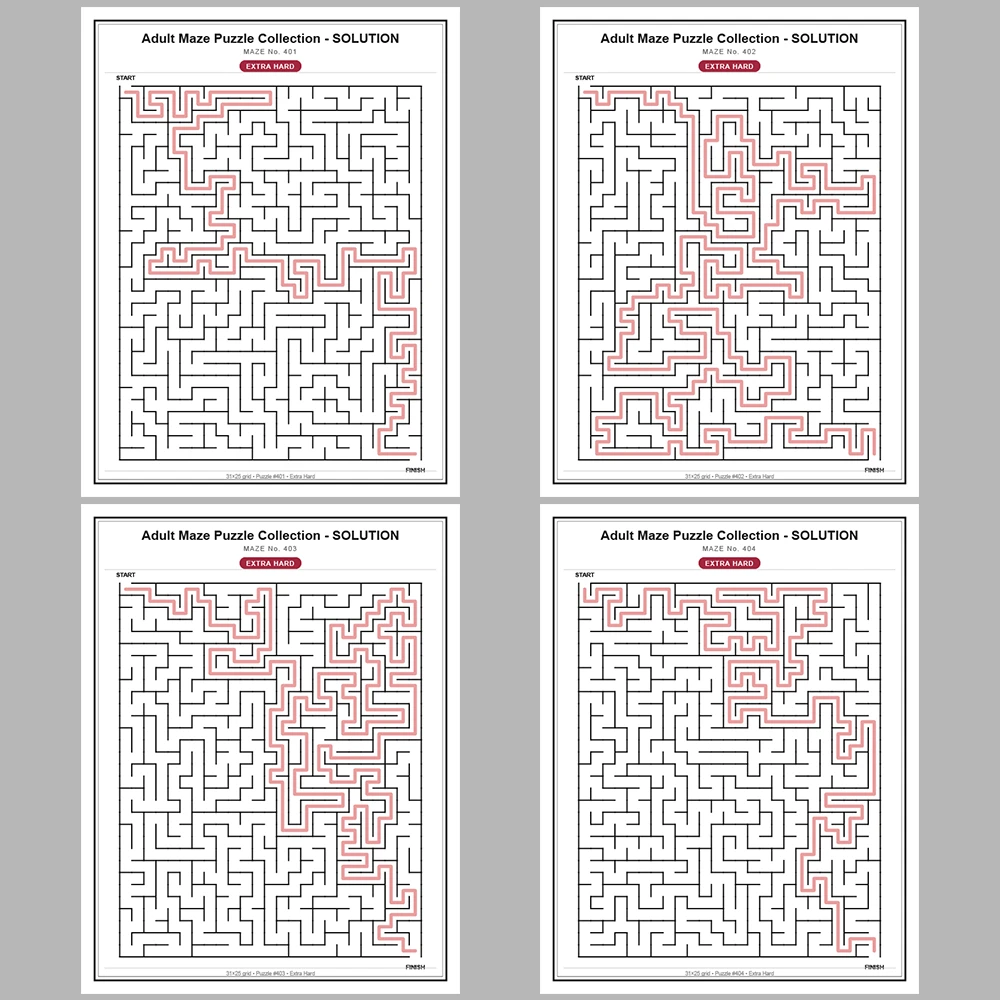 Maze Puzzle Extra Hard 50 Pages of Puzzles – Vol. 9