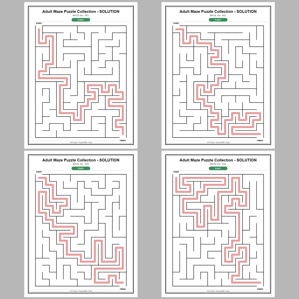 Maze Puzzle Easy 50 Pages of Puzzles – Vol. 19