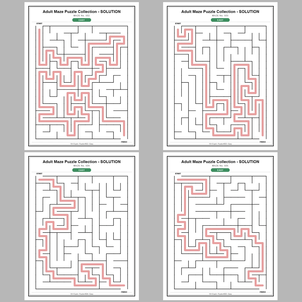 Maze Puzzle Easy 250 Pages of Puzzles – Vol. 3
