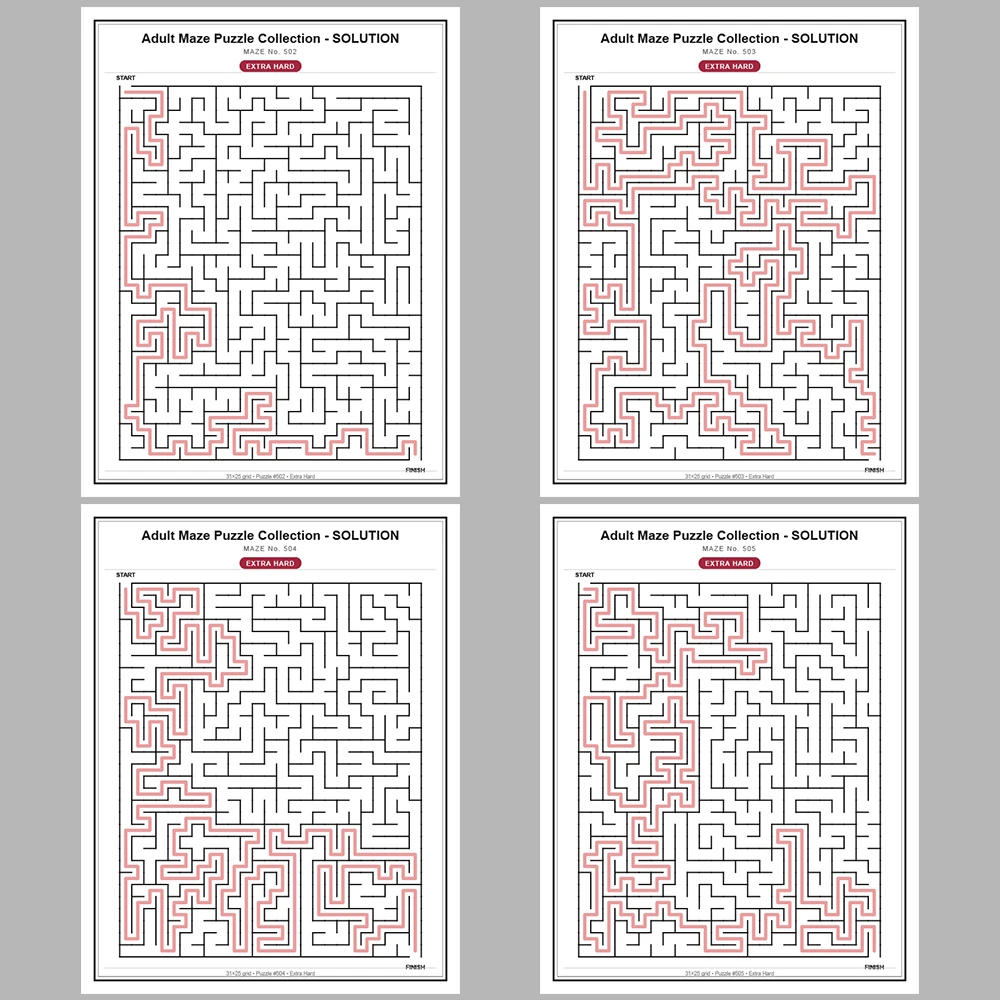 Maze Puzzle Extra Hard 250 Pages of Puzzles – Vol. 3
