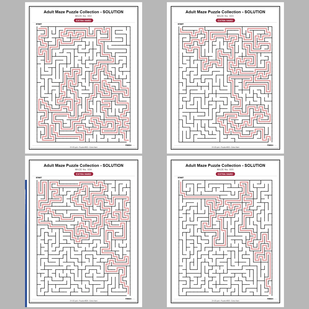 Maze Puzzle Extra Hard 250 Pages of Puzzles – Vol. 1