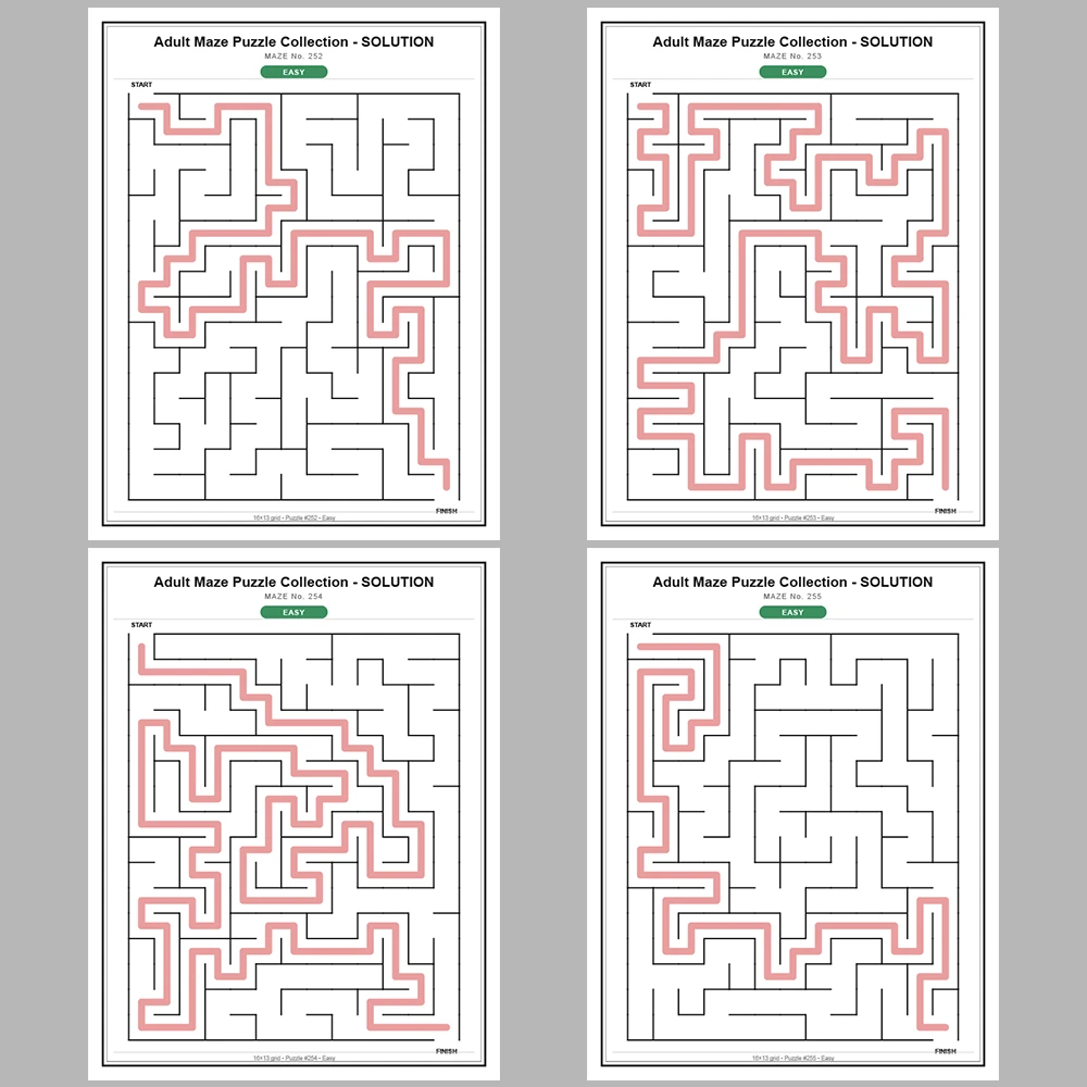 Maze Puzzle Easy 250 Pages of Puzzles – Vol. 2