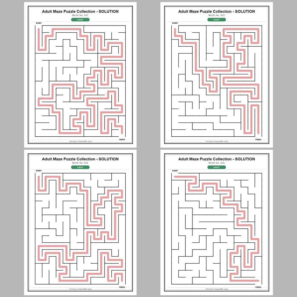 Maze Puzzle Easy 250 Pages of Puzzles – Vol. 1