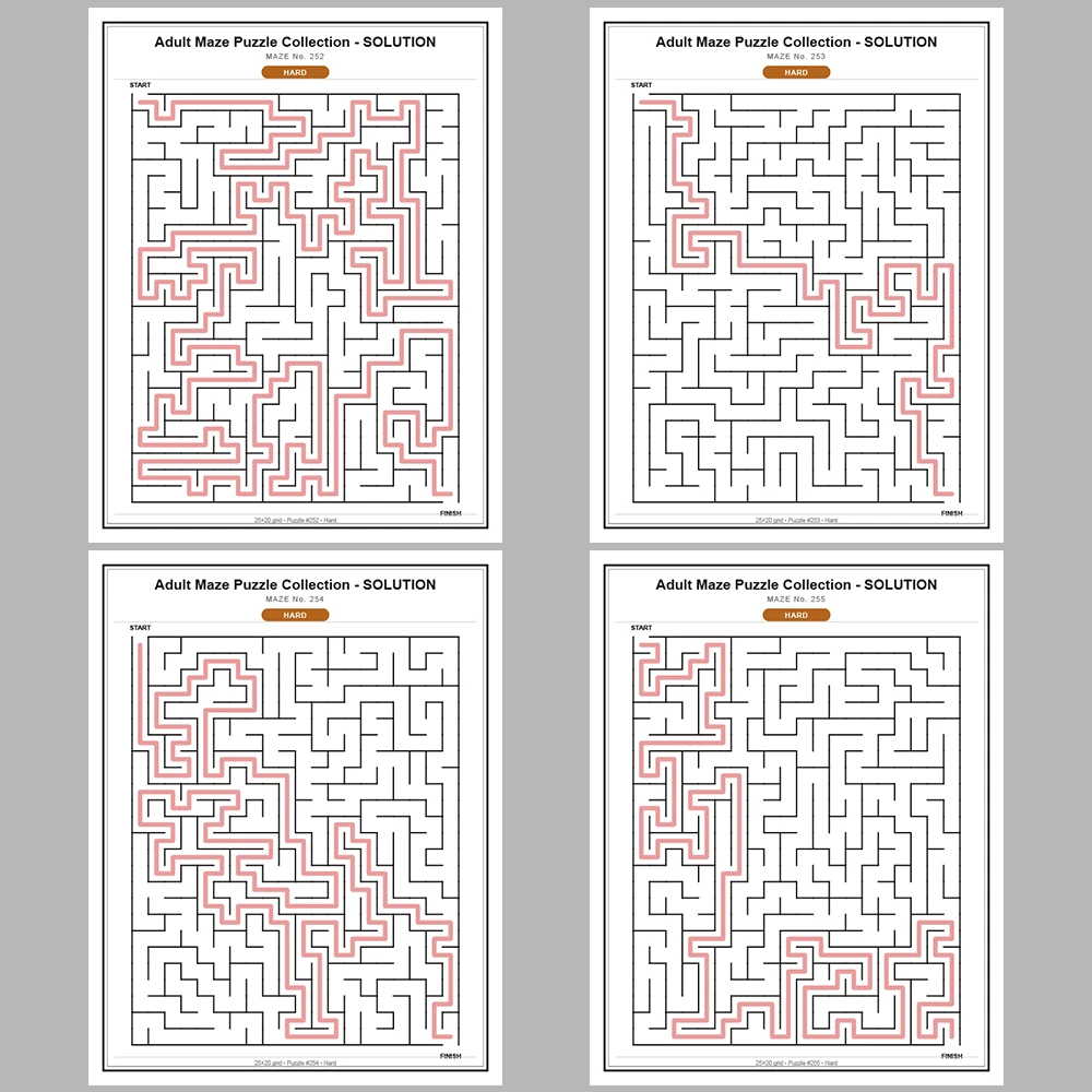 Maze Puzzle Hard 250 Pages of Puzzles – Vol. 2