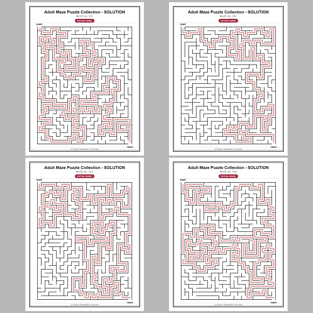 Maze Puzzle Extra Hard 50 Pages of Puzzles – Vol. 12