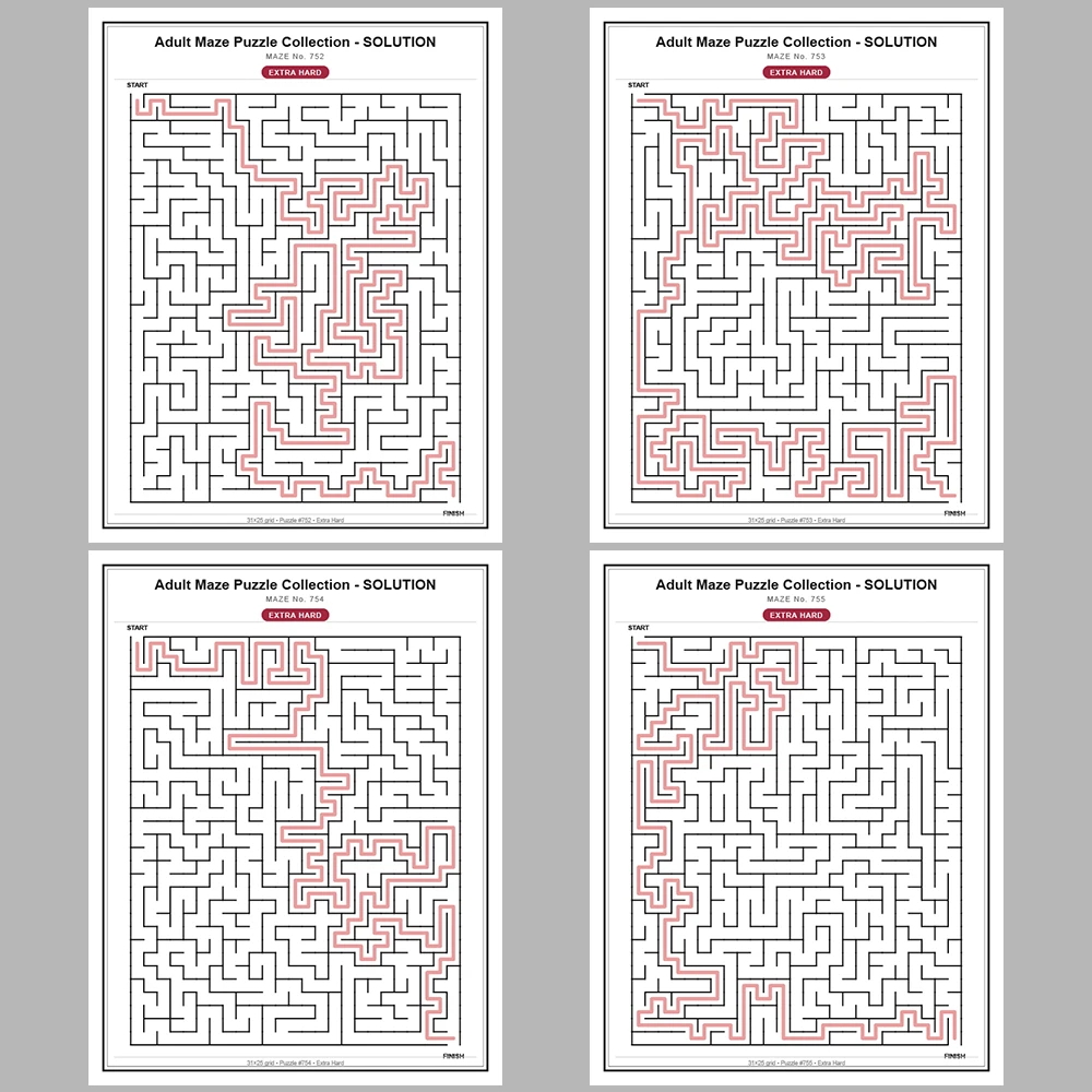 Maze Puzzle Extra Hard 250 Pages of Puzzles – Vol. 4