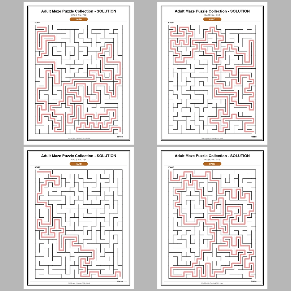 Maze Puzzle Hard 250 Pages of Puzzles – Vol. 4