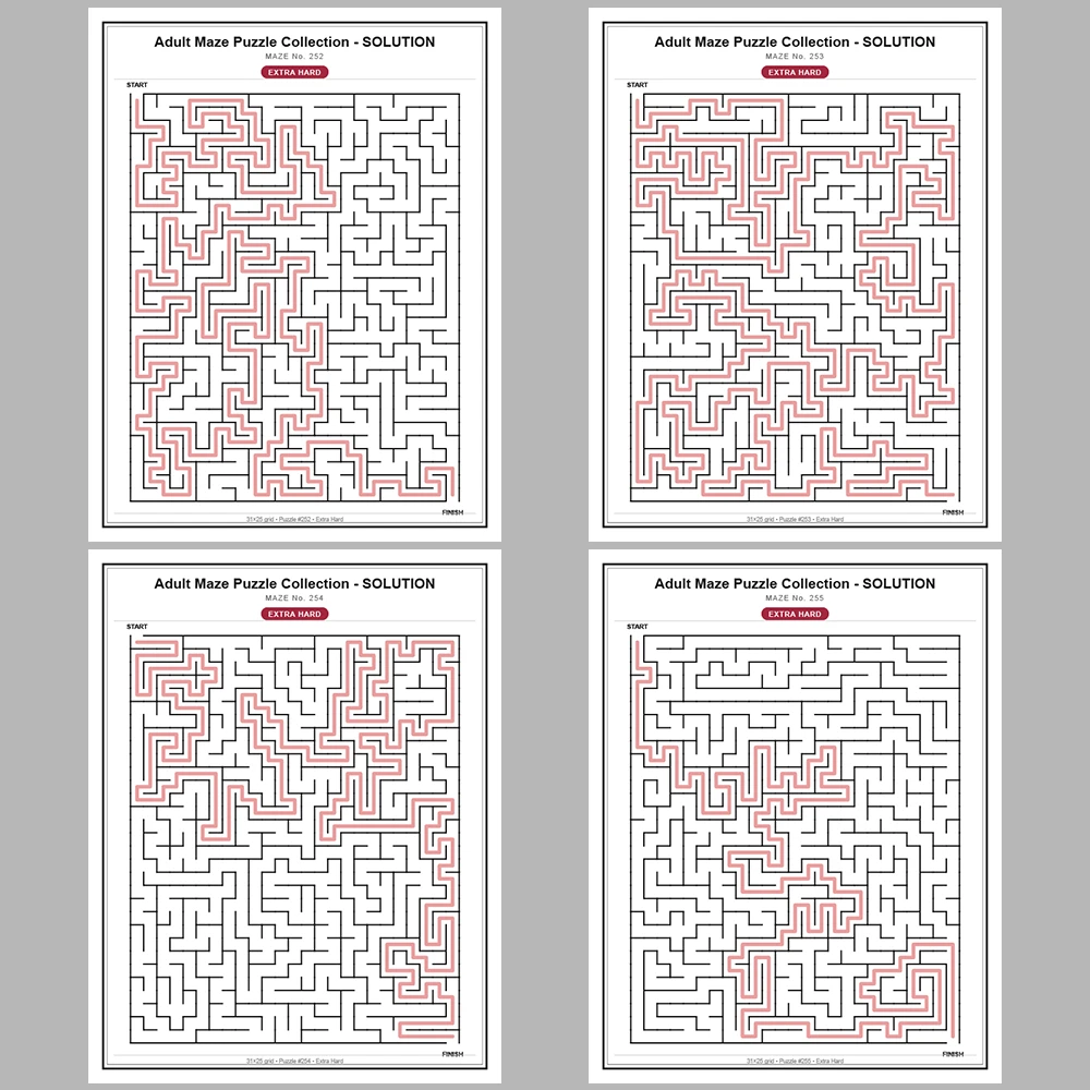 Maze Puzzle Extra Hard 250 Pages of Puzzles – Vol. 2