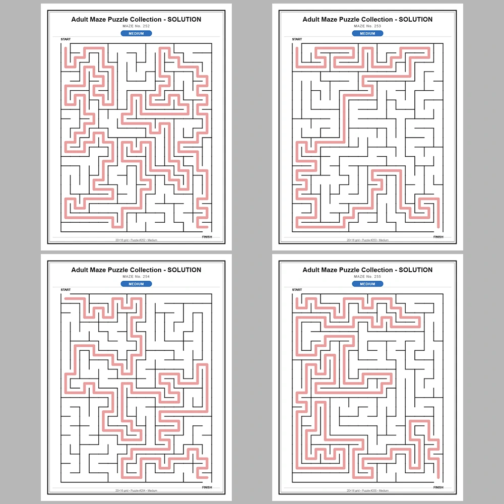 Maze Puzzle Medium 250 Pages of Puzzles – Vol. 2