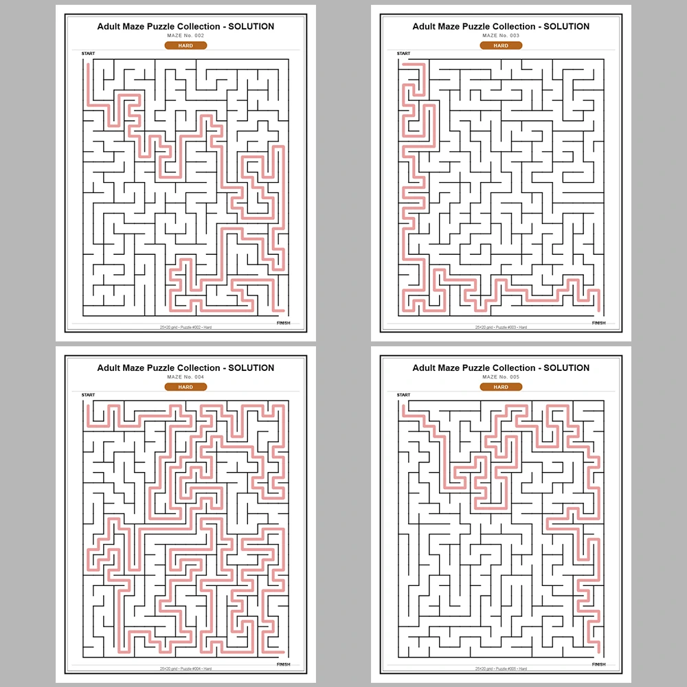 Maze Puzzle Hard 250 Pages of Puzzles – Vol. 1