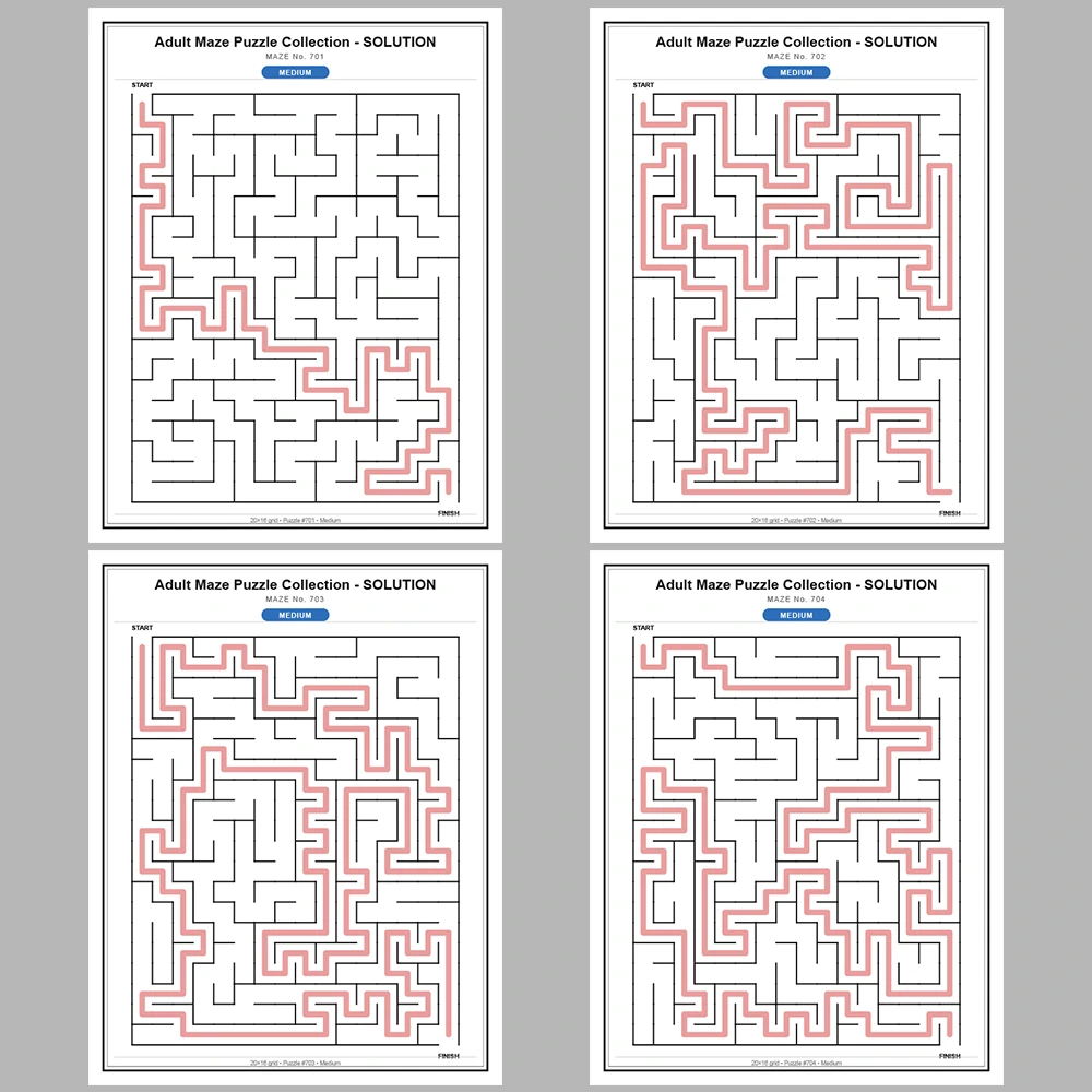 Maze Puzzle Medium 50 Pages of Puzzles – Vol. 15