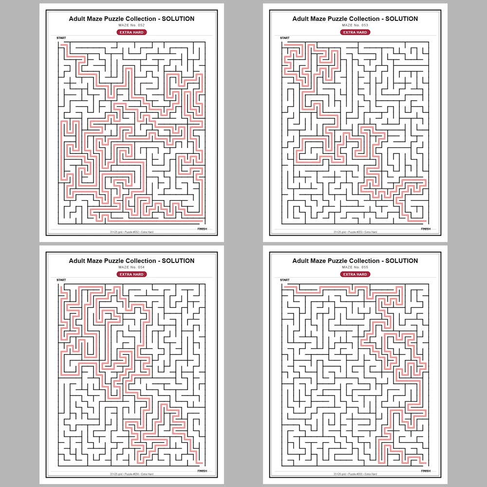 Maze Puzzle Extra Hard 50 Pages of Puzzles – Vol. 2