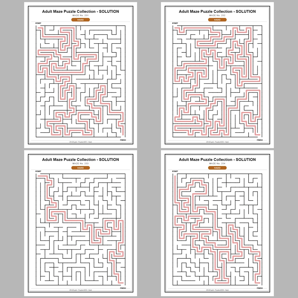 Maze Puzzle Hard 50 Pages of Puzzles – Vol. 6