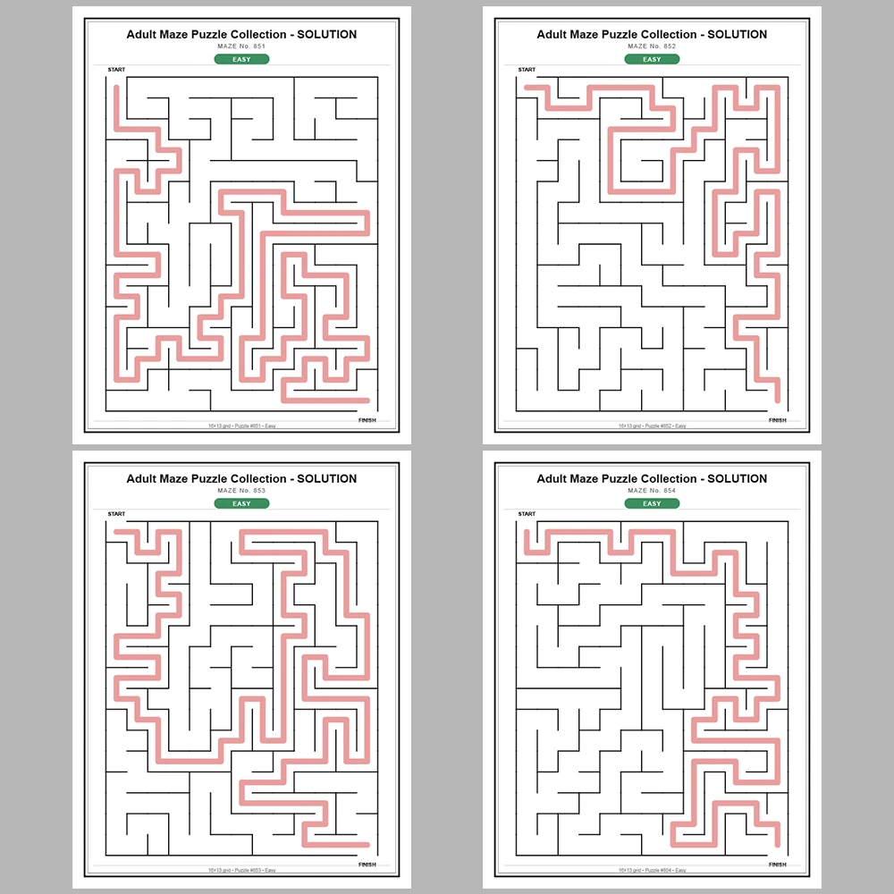 Maze Puzzle Easy 50 Pages of Puzzles – Vol. 18