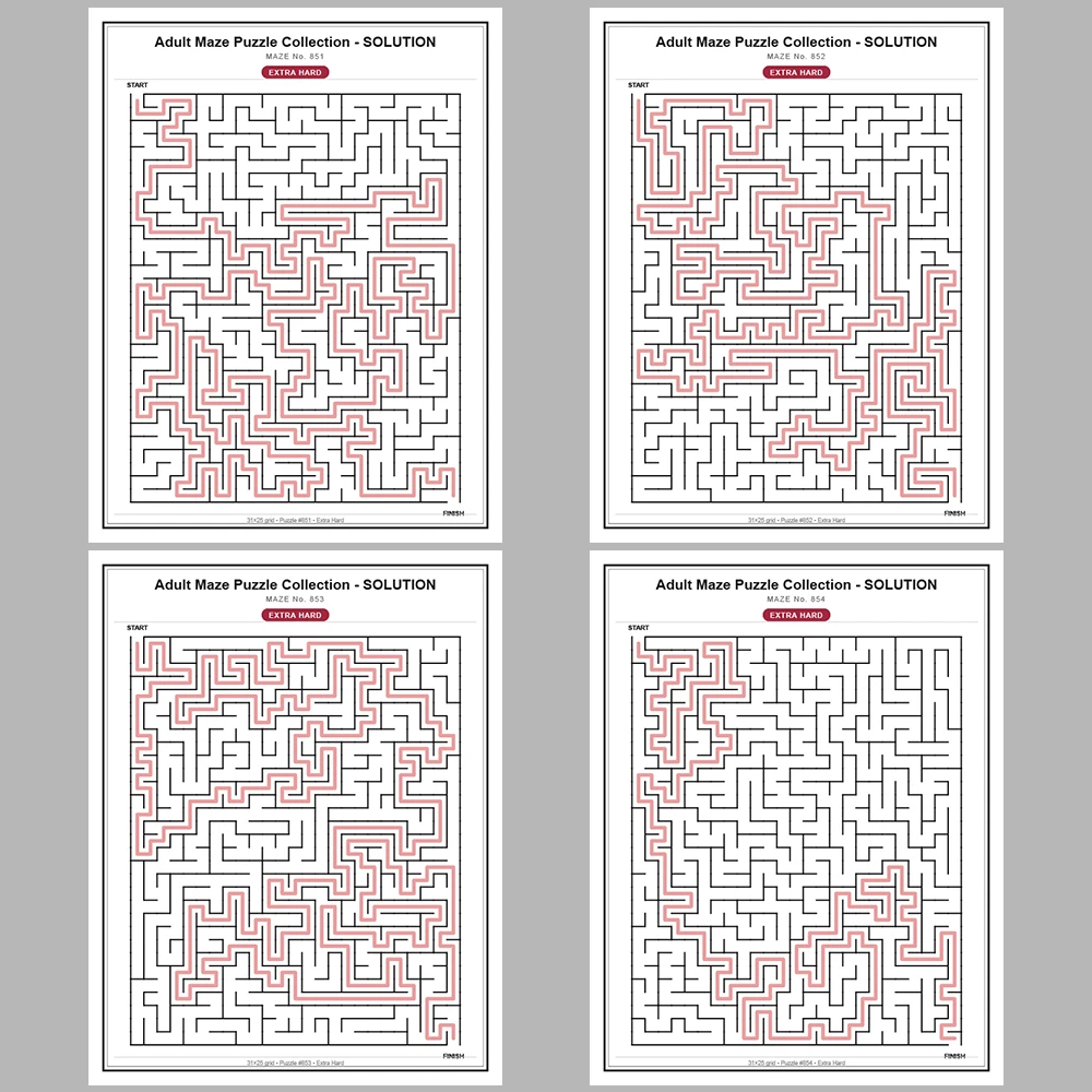 Maze Puzzle Extra Hard 50 Pages of Puzzles – Vol. 18