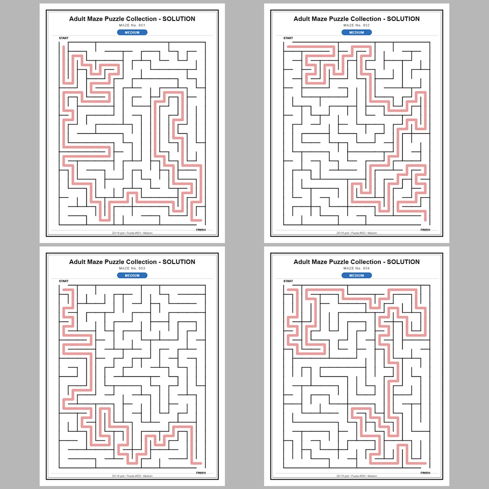 Maze Puzzle Medium 50 Pages of Puzzles – Vol. 18