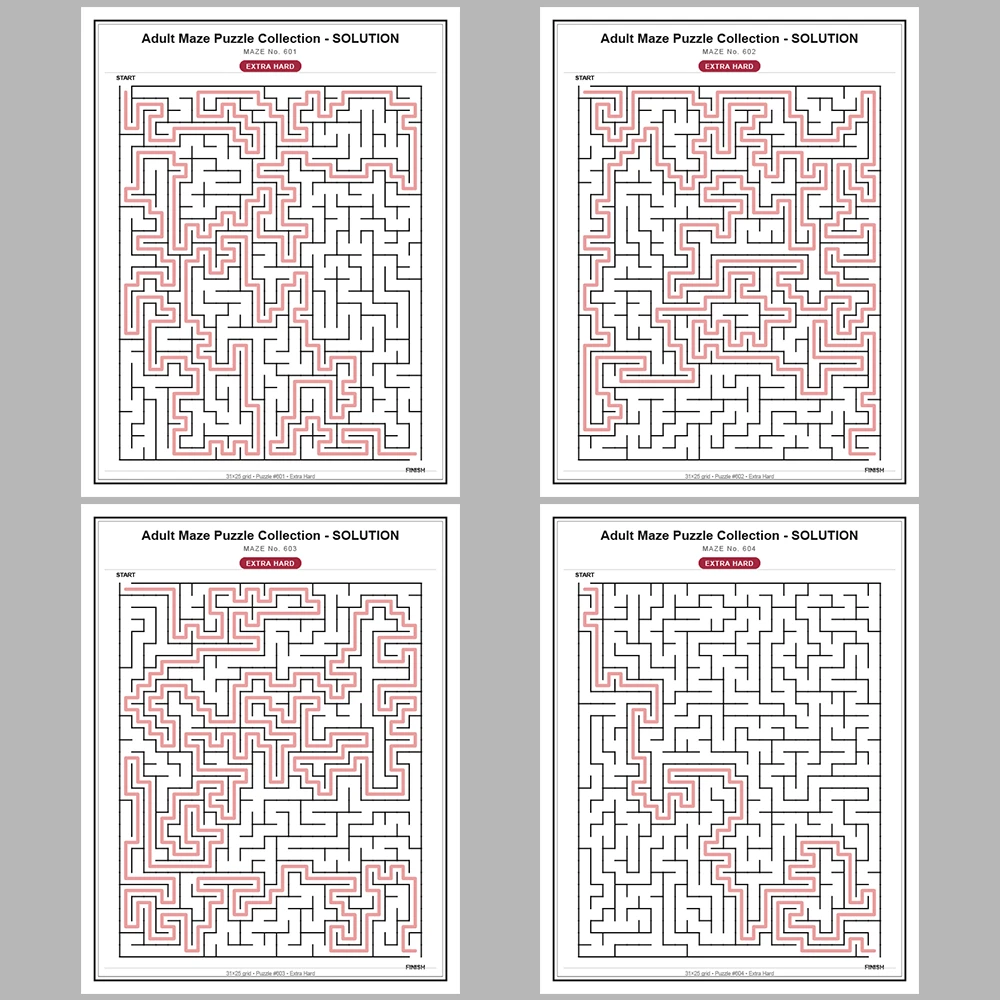 Maze Puzzle Extra Hard 50 Pages of Puzzles – Vol. 13