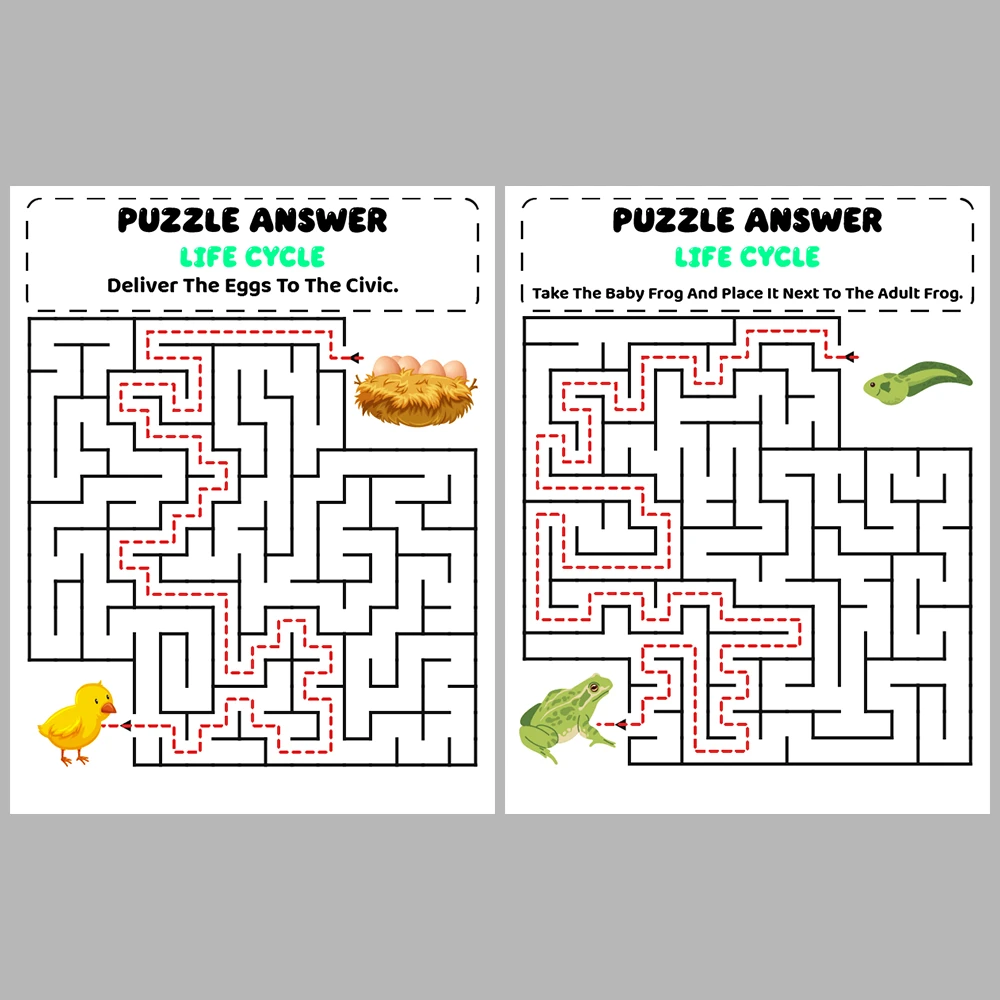 Life Cycle Kids Maze Puzzle 10 Pages of Puzzles
