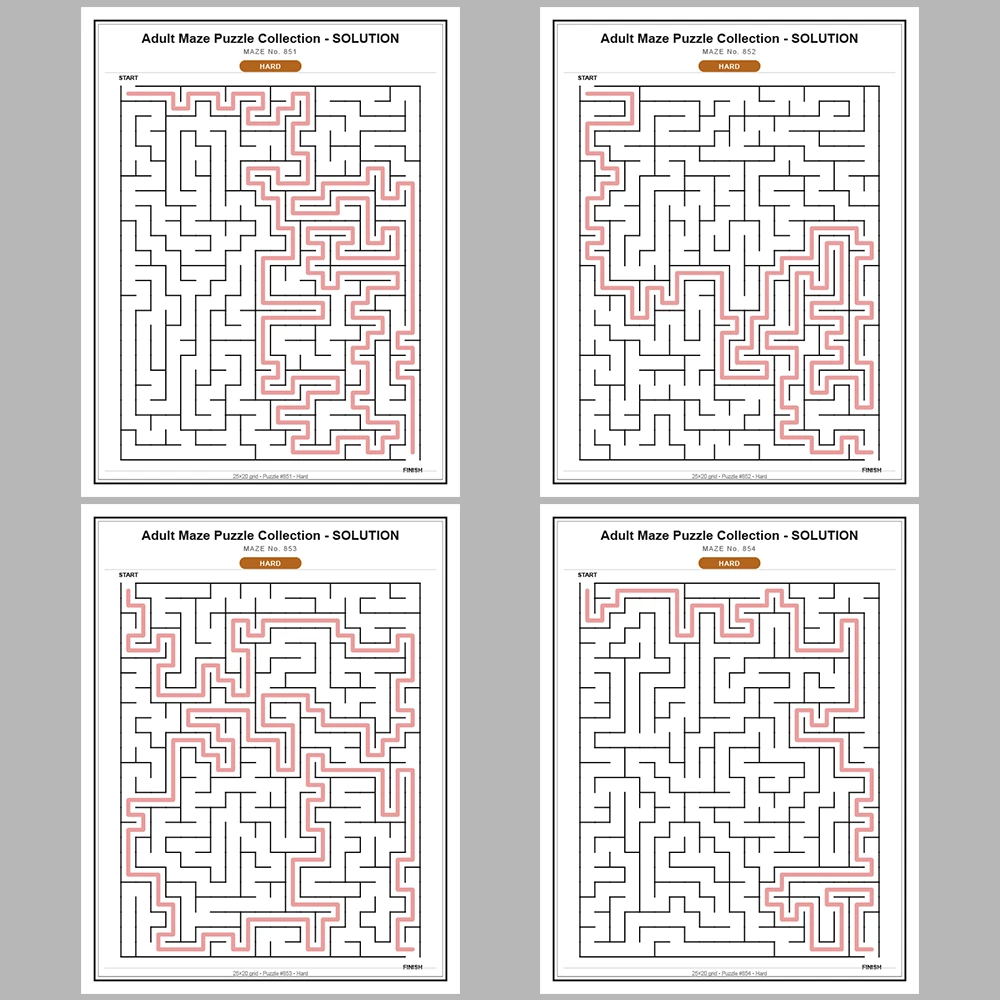 Maze Puzzle Hard 50 Pages of Puzzles – Vol. 18