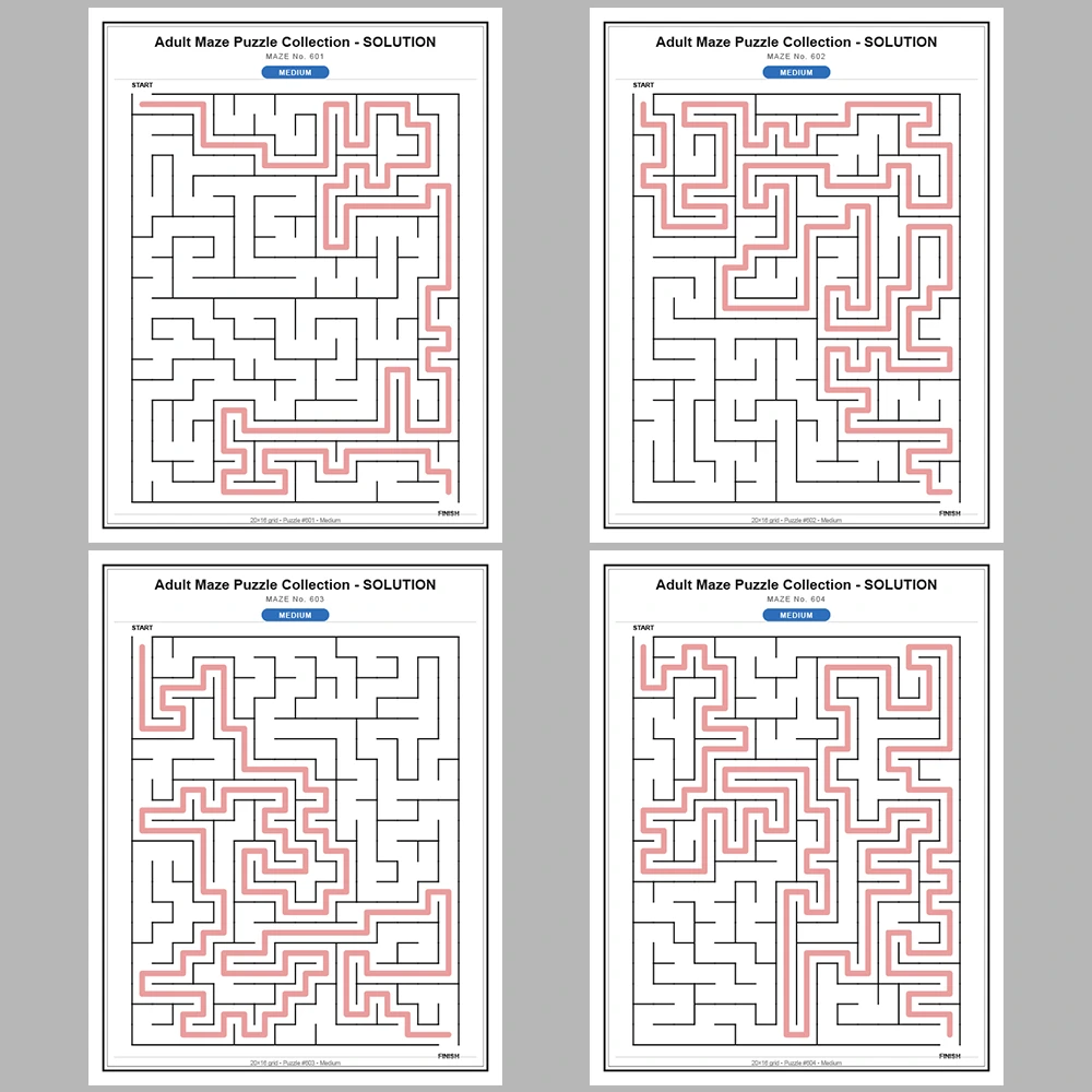 Maze Puzzle Medium 50 Pages of Puzzles – Vol. 13