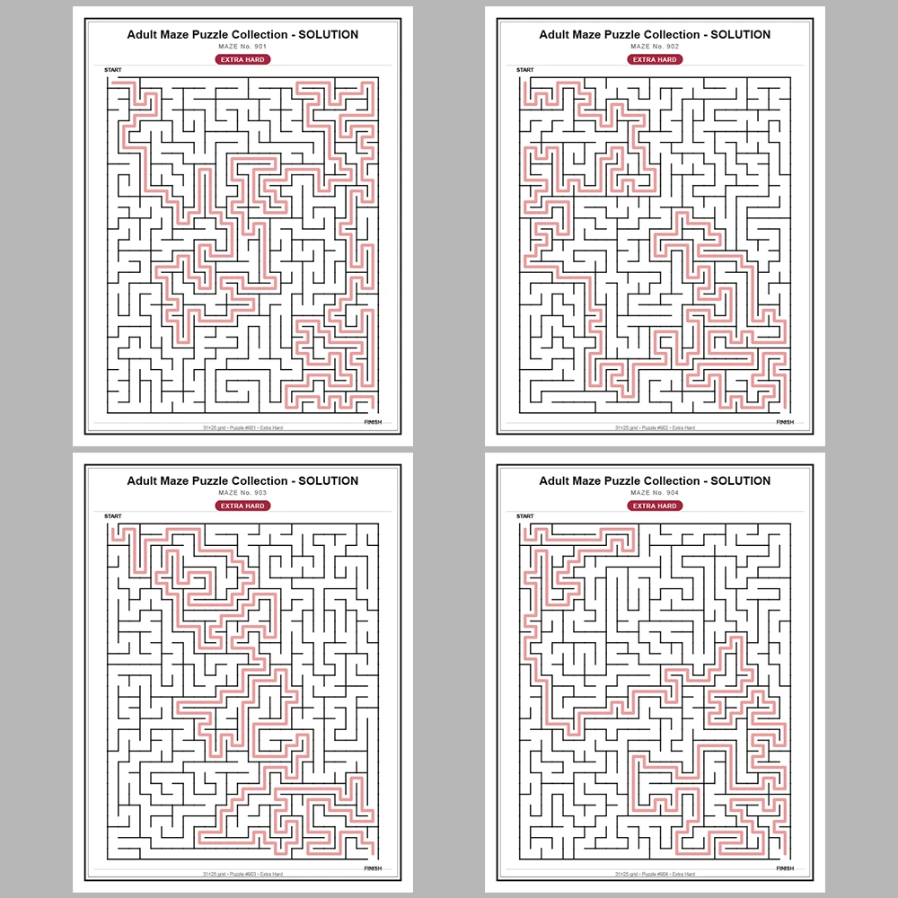 Maze Puzzle Extra Hard 50 Pages of Puzzles – Vol. 19