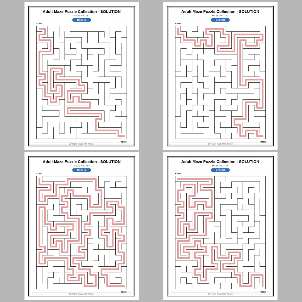 Maze Puzzle Medium 50 Pages of Puzzles – Vol. 4